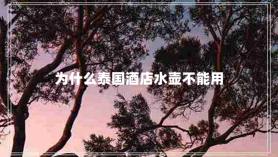 為什么泰國(guó)酒店水壺不能用