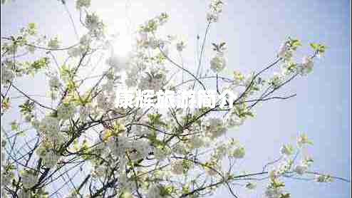 康輝旅游簡(jiǎn)介