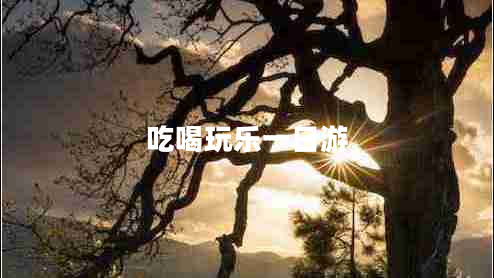 吃喝玩樂一日游 吃喝玩樂一日游