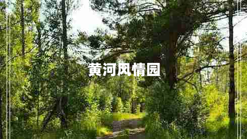 黃河風(fēng)情園