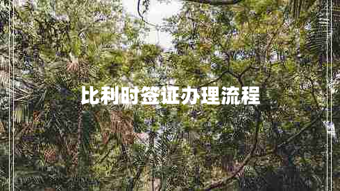 比利時簽證辦理流程