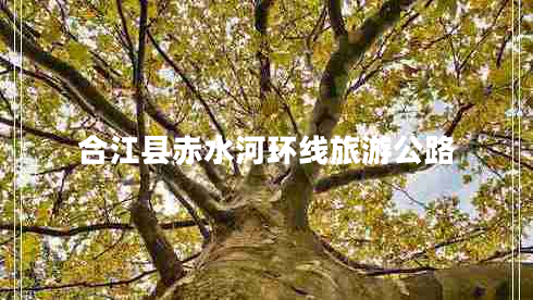 合江縣赤水河環(huán)線旅游公路