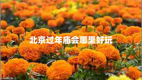 北京過(guò)年廟會(huì)哪里好玩