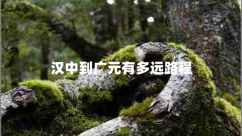 漢中到廣元有多遠路程 漢中到廣元有多遠路程