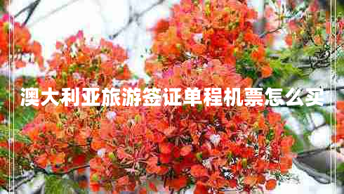 澳大利亞旅游簽證單程機(jī)票怎么買(mǎi)