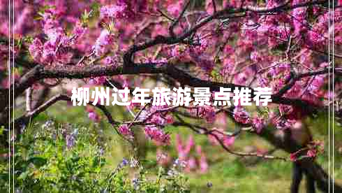 柳州過年旅游景點推薦