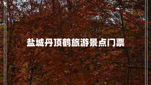 鹽城丹頂鶴旅游景點(diǎn)門票