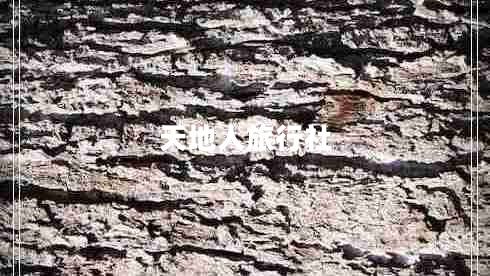 天地人旅行社 天地人旅行社