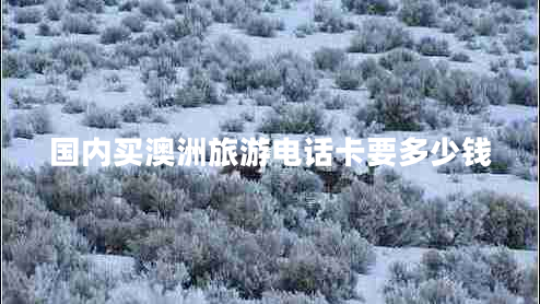 國內(nèi)買澳洲旅游電話卡要多少錢 國內(nèi)買澳洲旅游電話卡要多少錢