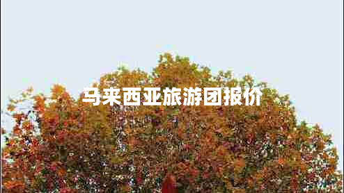 馬來(lái)西亞旅游團(tuán)報(bào)價(jià)