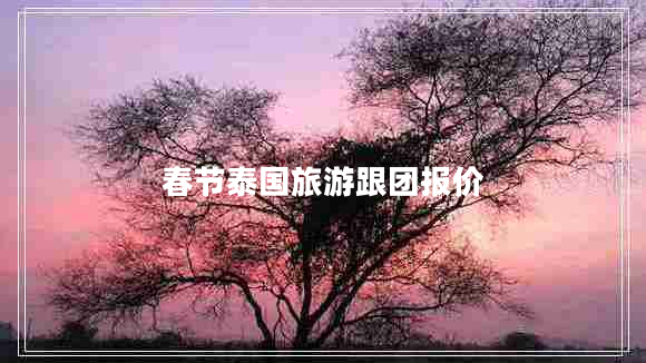 春節(jié)泰國旅游跟團(tuán)報價