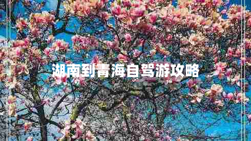 湖南到青海自駕游攻略