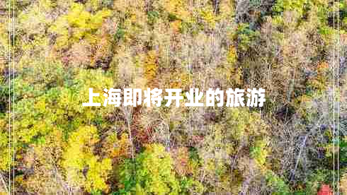 上海即將開業(yè)的旅游