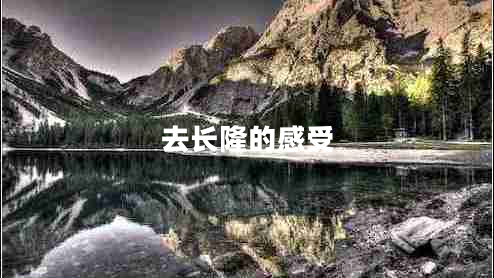去長(zhǎng)隆的感受