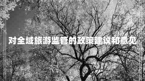 對全域旅游監(jiān)管的政策建議和意見 對全域旅游監(jiān)管的政策建議和意見