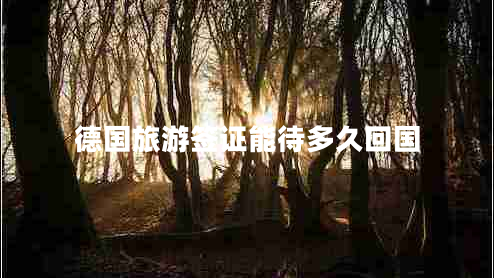 德國旅游簽證能待多久回國