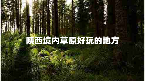 陜西境內(nèi)草原好玩的地方