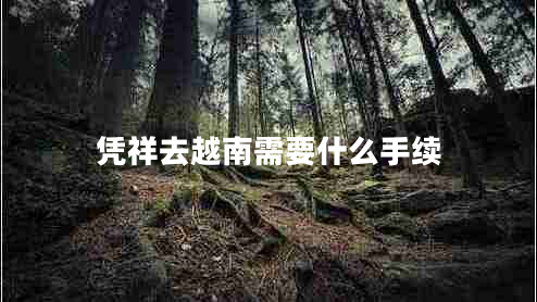 憑祥去越南需要什么手續(xù) 憑祥去越南需要什么手續(xù)