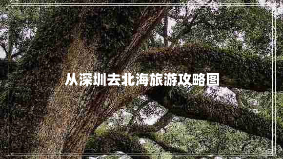 從深圳去北海旅游攻略圖 從深圳去北海旅游攻略圖