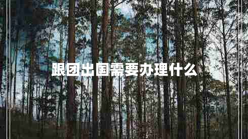 跟團(tuán)出國(guó)需要辦理什么