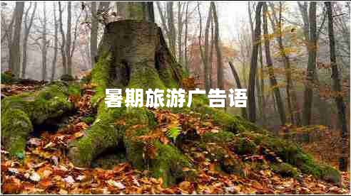暑期旅游廣告語(yǔ)