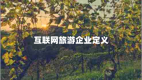 互聯(lián)網(wǎng)旅游企業(yè)定義 互聯(lián)網(wǎng)旅游企業(yè)定義