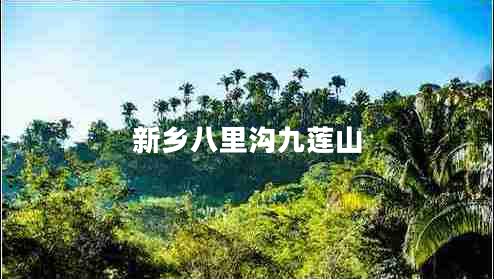 新鄉(xiāng)八里溝九蓮山 新鄉(xiāng)八里溝九蓮山