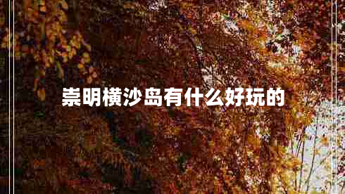 崇明橫沙島有什么好玩的