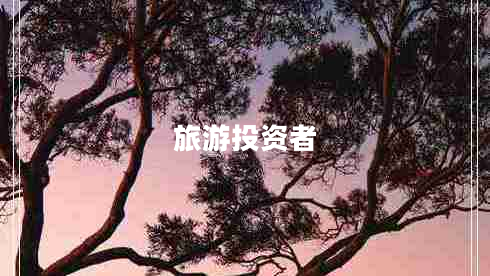 旅游投資者