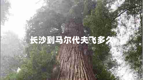 長沙到馬爾代夫飛多久 長沙到馬爾代夫飛多久