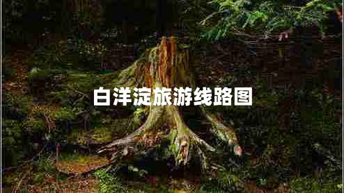 白洋淀旅游線路圖