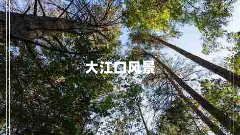 大江口風景 大江口風景