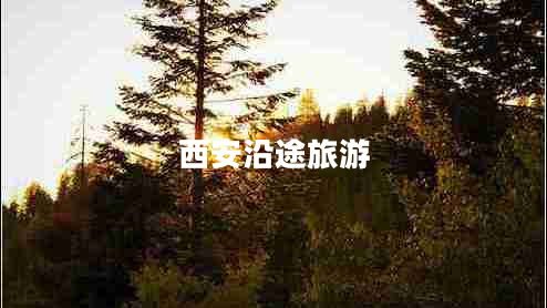 西安沿途旅游 西安沿途旅游