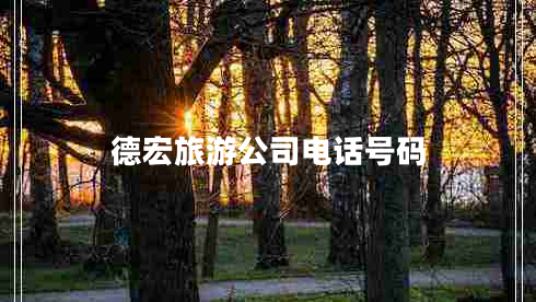 德宏旅游公司電話號碼 德宏旅游公司電話號碼