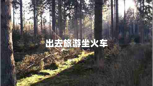 出去旅游坐火車