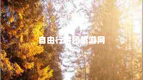 自由行拼團(tuán)旅游網(wǎng)