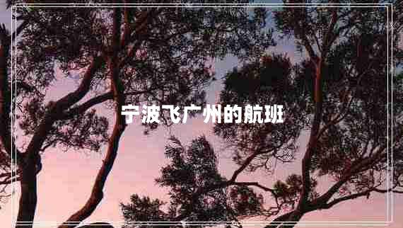 寧波飛廣州的航班