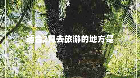 適合2月去旅游的地方是 適合2月去旅游的地方是