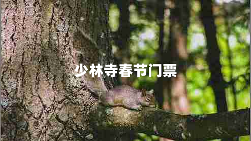 少林寺春節(jié)門票