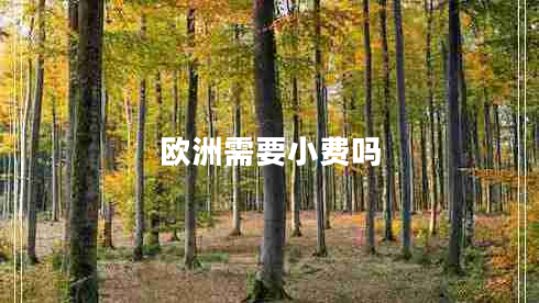 歐洲需要小費嗎