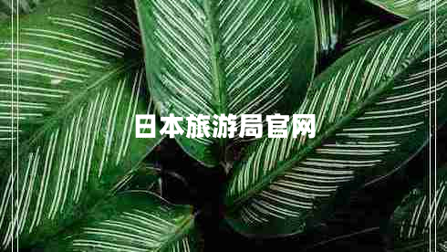 日本旅游局官網(wǎng)