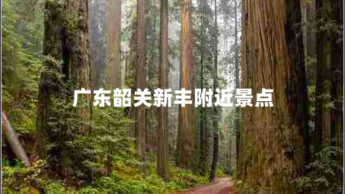 廣東韶關(guān)新豐附近景點(diǎn) 廣東韶關(guān)新豐附近景點(diǎn)