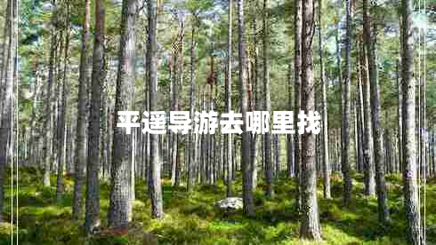 平遙導(dǎo)游去哪里找