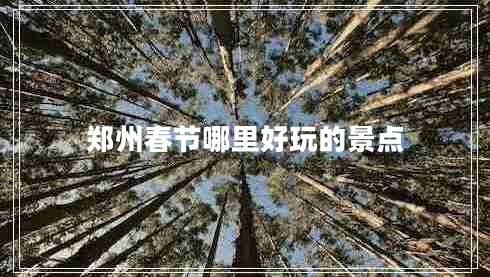鄭州春節(jié)哪里好玩的景點(diǎn)