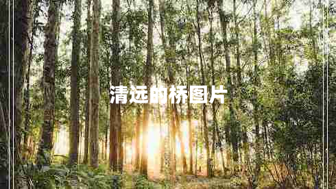 清遠(yuǎn)的橋圖片