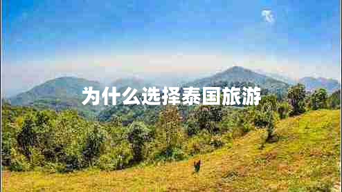 為什么選擇泰國(guó)旅游