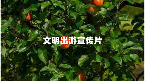 文明出游宣傳片