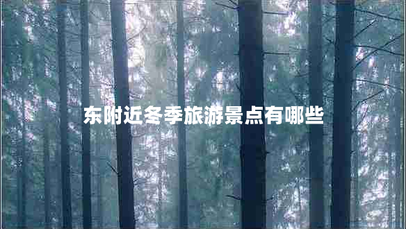 東附近冬季旅游景點(diǎn)有哪些