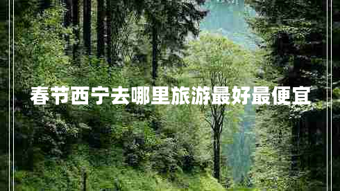 春節(jié)西寧去哪里旅游最好最便宜