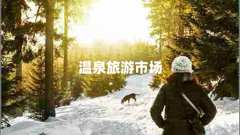 溫泉旅游市場